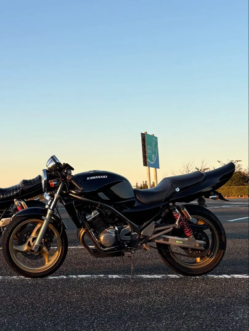 2026年最新】z2テール バリオスの人気アイテム - メルカリ