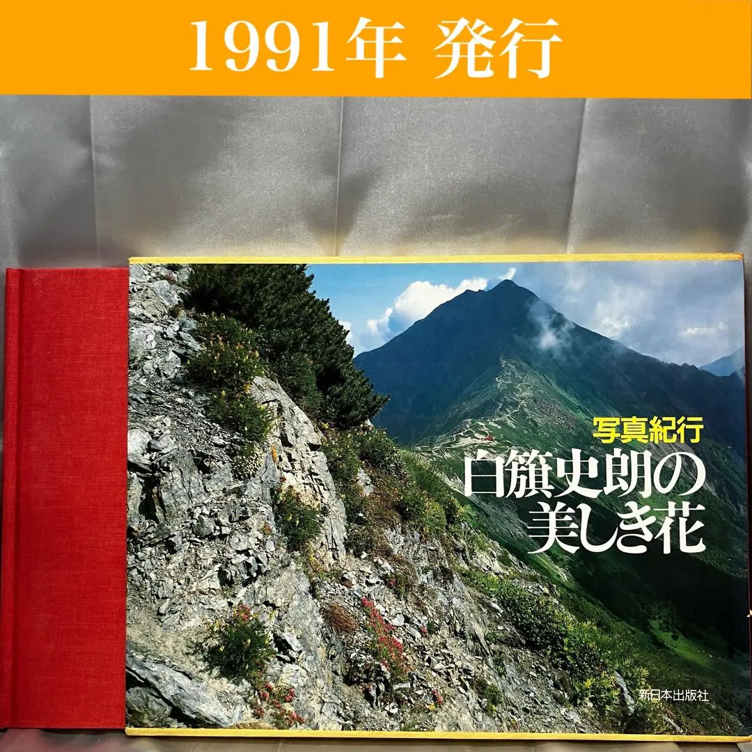 2026年最新】白旗史朗 写真の人気アイテム - メルカリ