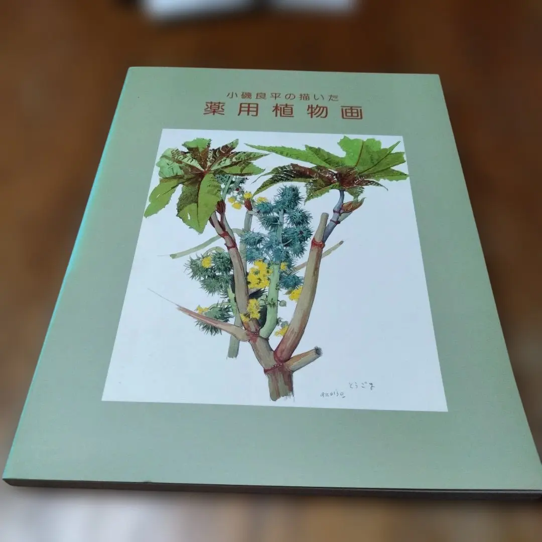 2026年最新】小磯良平 植物画の人気アイテム - メルカリ