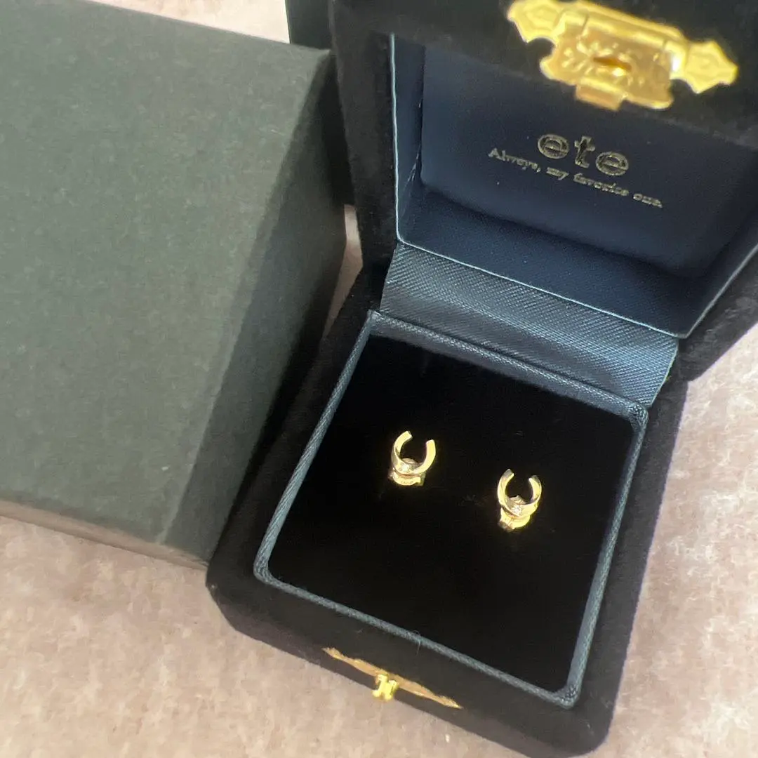 2026年最新】ete ホースシュー ピアスの人気アイテム - メルカリ