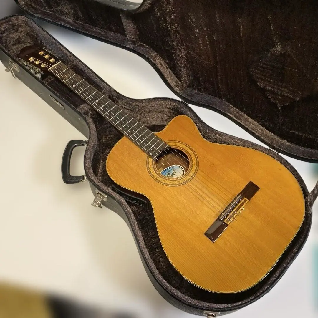 2026年最新】ハードケース STAFFORDの人気アイテム - メルカリ