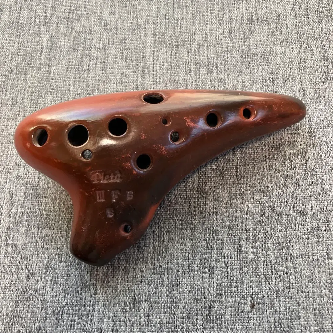 2026年最新】オカリナ ピエタの人気アイテム - メルカリ