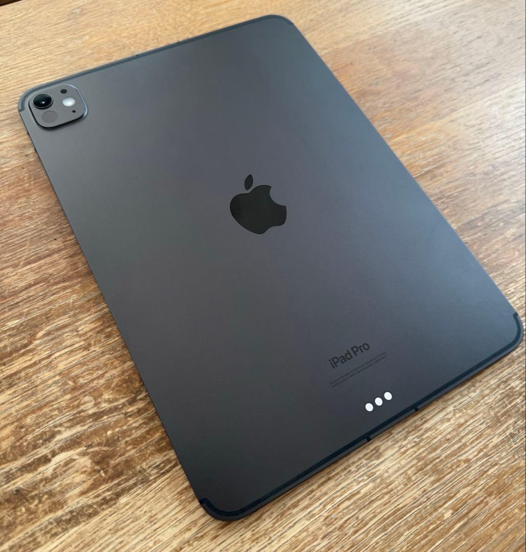 【iPadOS 26】M4 iPad Pro 11 1TB Cellular