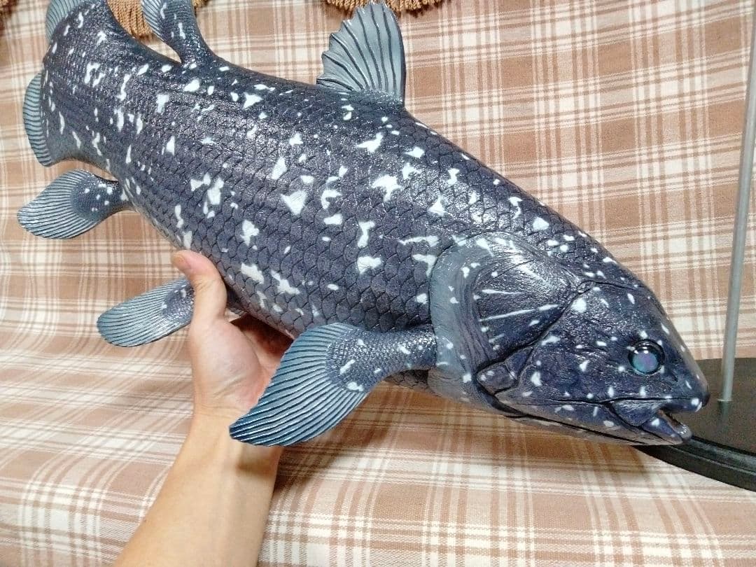 ハンドメイド　61cmシーラカンス　フィギュア　レプリカ　オブジェ　化石魚 Yahoo!オークション - ハンドメイド 61cmシーラカンス フィギュア