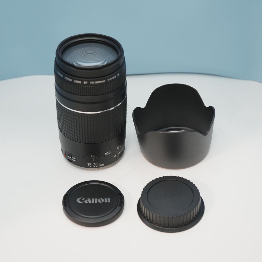 Canon純正 75-300mm 望遠レンズ 極美品 a4580
