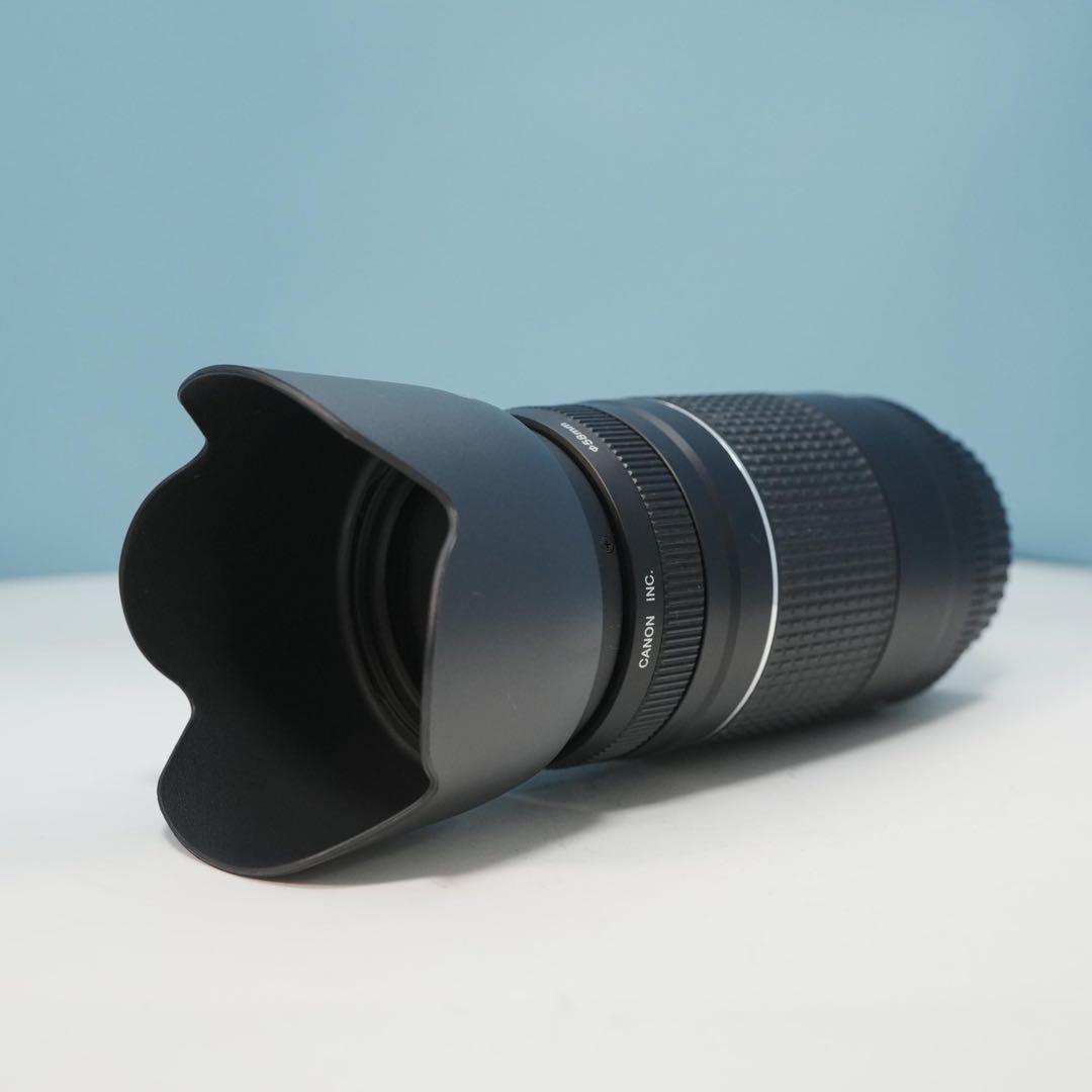 Canon純正 75-300mm 望遠レンズ 極美品 a4580