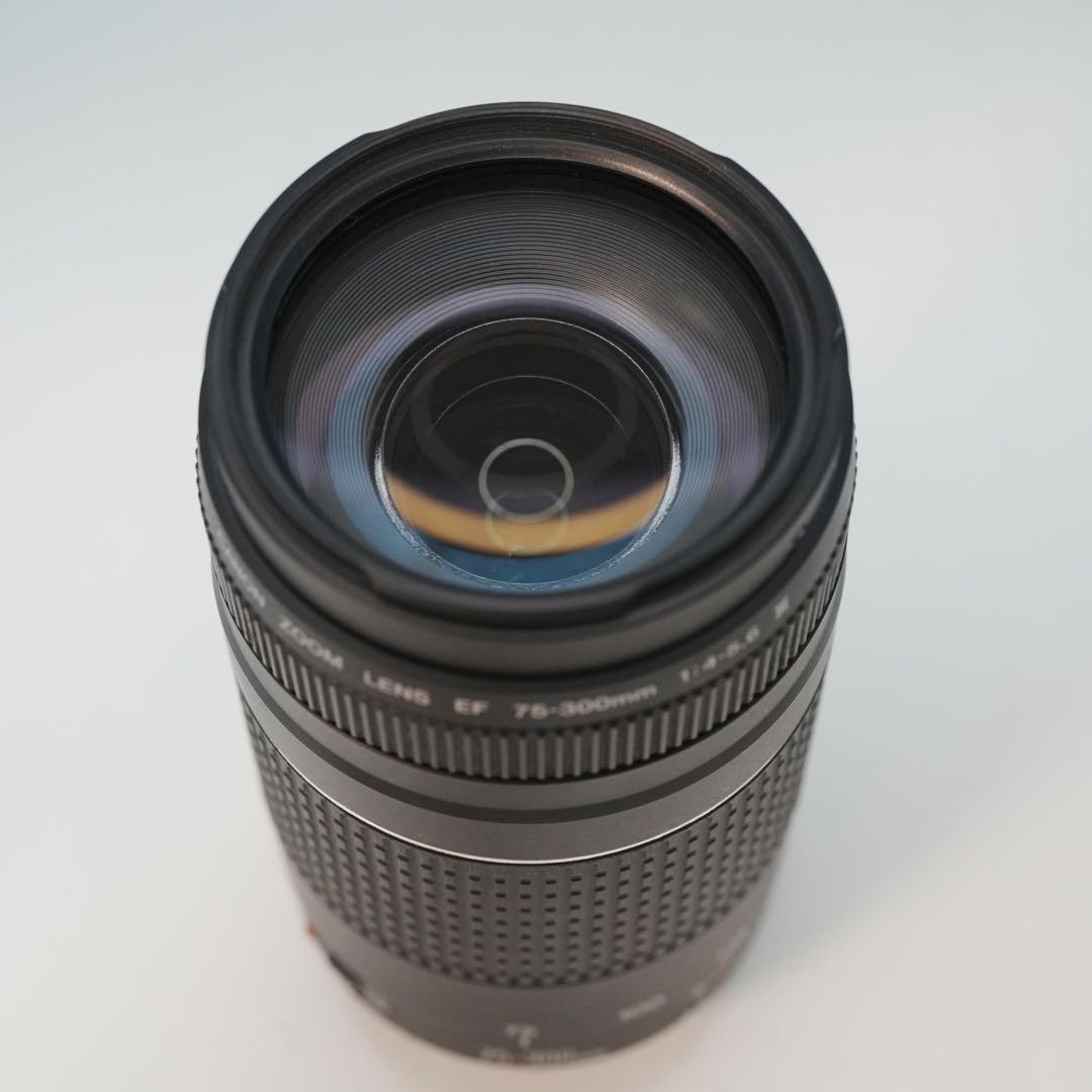 Canon純正 75-300mm 望遠レンズ 極美品 a4580