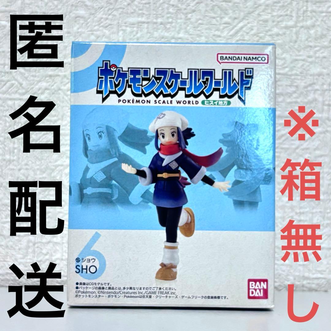 箱無し】 ポケモン スケールワールド ショウ ヒスイ地方 フィギュア 食