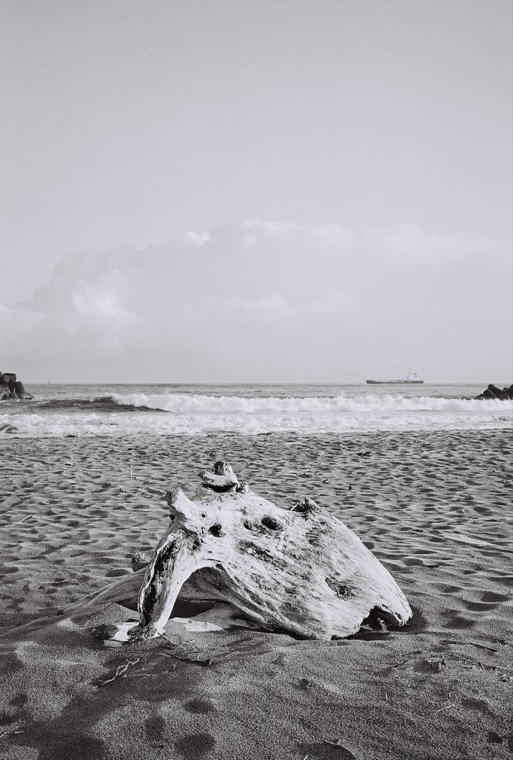 CONTAX T コンパクトフィルムカメラ