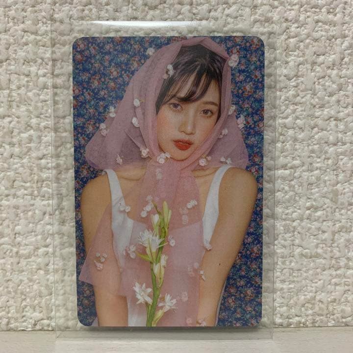 カードホルダー ジョイ トレカ Reveluv-Baby Party 2019 Red Velvet 1st Concert 