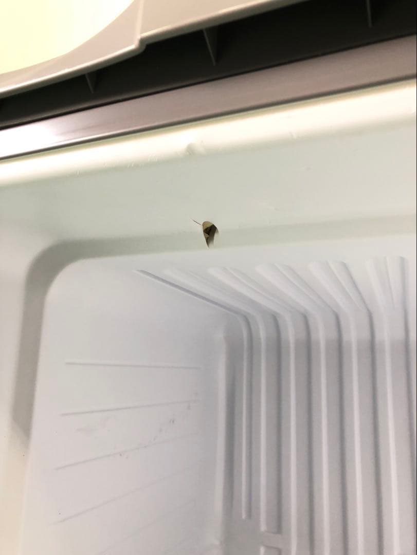 ☆引き取り限定販売☆AQUA 直冷式ノンフロン　冷凍冷蔵庫