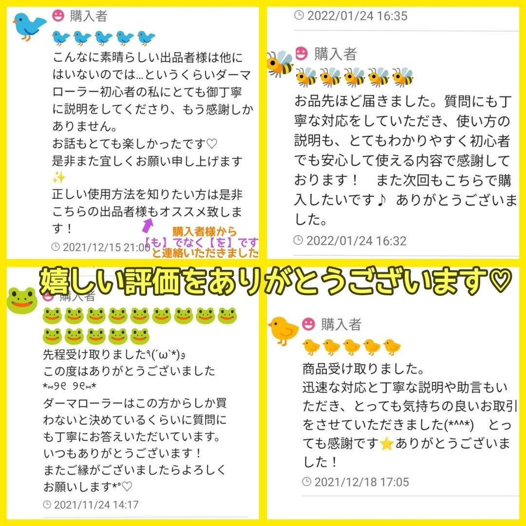 【匿名配送】ダーマローラー 0.5mm 5本【本数変更可能】頭皮 顔 身体