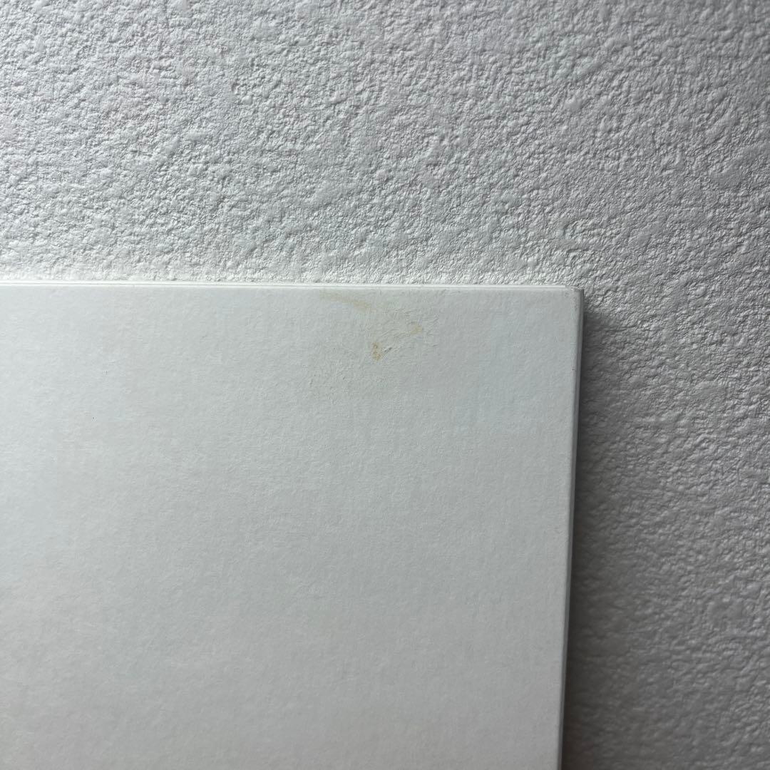 女王蜂 白兵戦 DVD