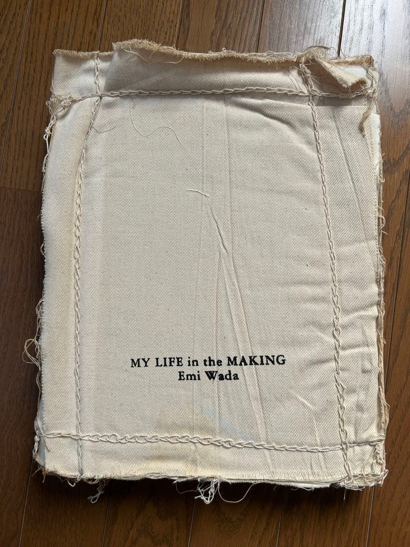 ワダエミの衣装世界 メイキングブック Kyoto and Beyond 1985-2005 ワダエミの衣装世界 | nostos books