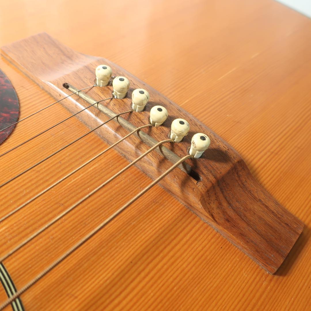 ARIA ADW-300 アコースティックギター 装飾インレイ - メルカリ