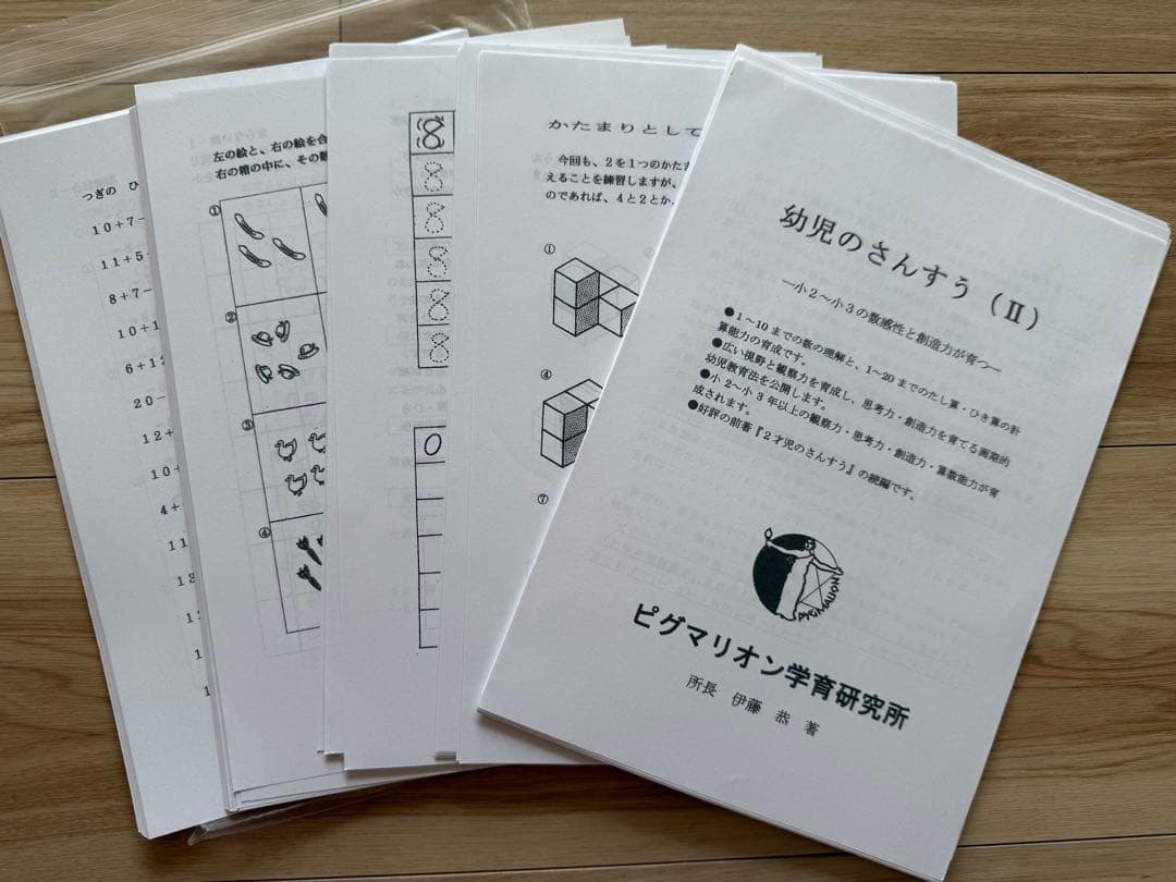 ピグマリオン学育研究所のヌマーカステン ウッディブロック他セット