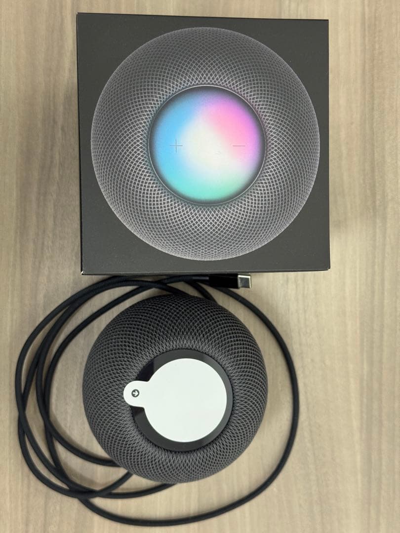 Apple Pod Mini スペースグレー