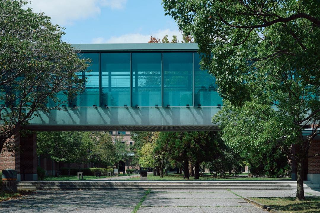 Hasselblad Distagon F 50mm f2.8 美品 gfx