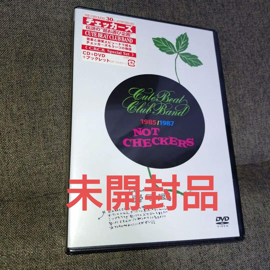 CUTE BEAT CLUB BAND DVD初回限定 チェッカーズ 藤井フミヤ キュート・ビート・クラブ・バンド チェッカーズ 藤井フミヤ - メルカリ