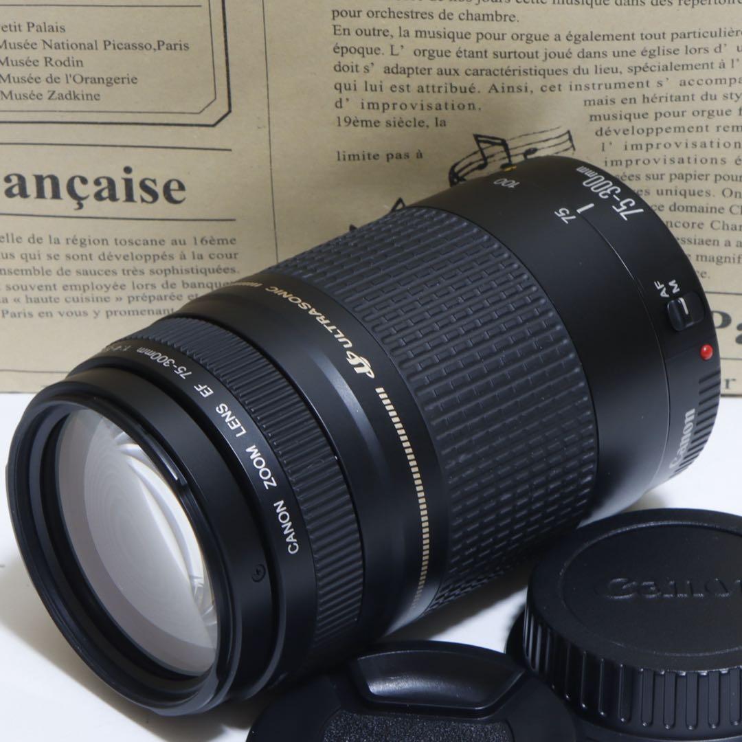 ◇超望遠&高速AF◇ Canon純正 75-300mm II型 望遠レンズ ◇