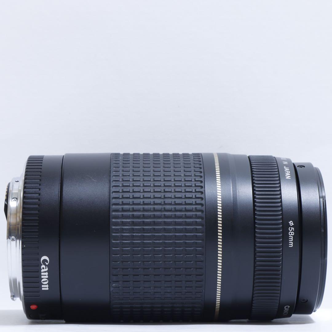 ◇超望遠&高速AF◇ Canon純正 75-300mm II型 望遠レンズ ◇
