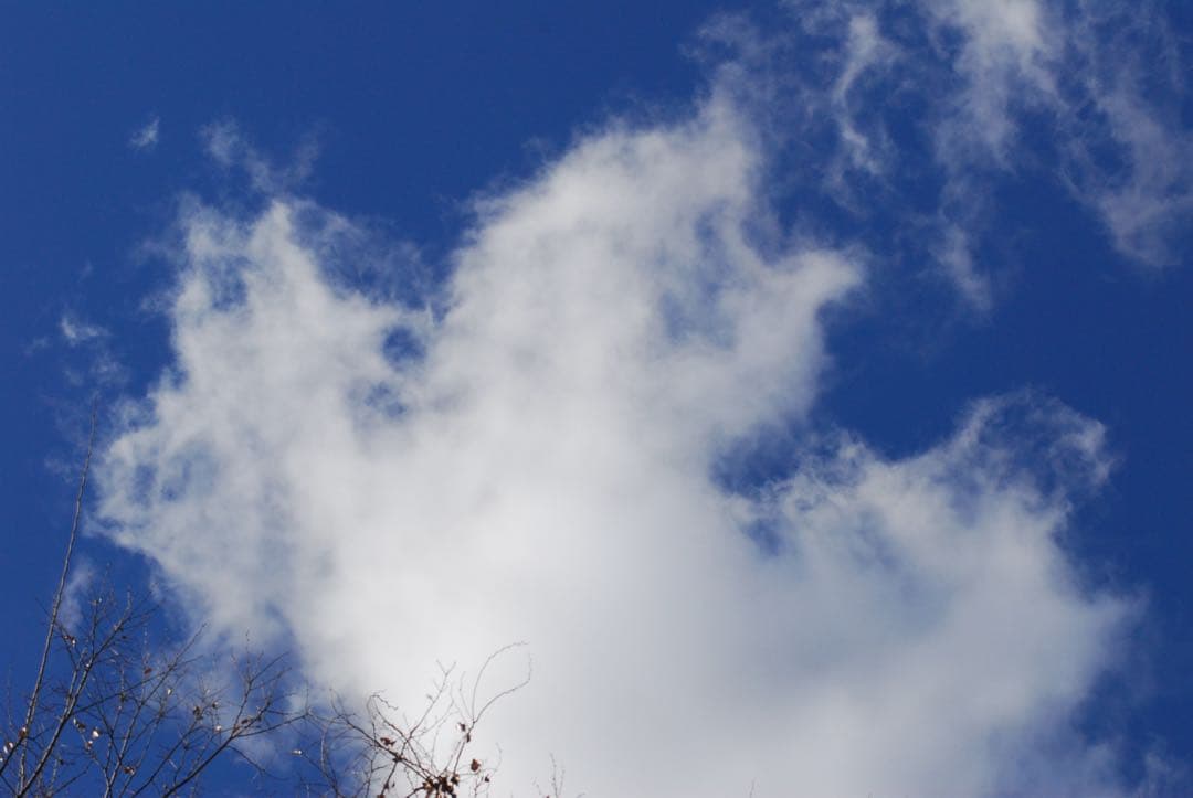 希少 美品 NIKON AF NIKKOR 70-210mm F4 S