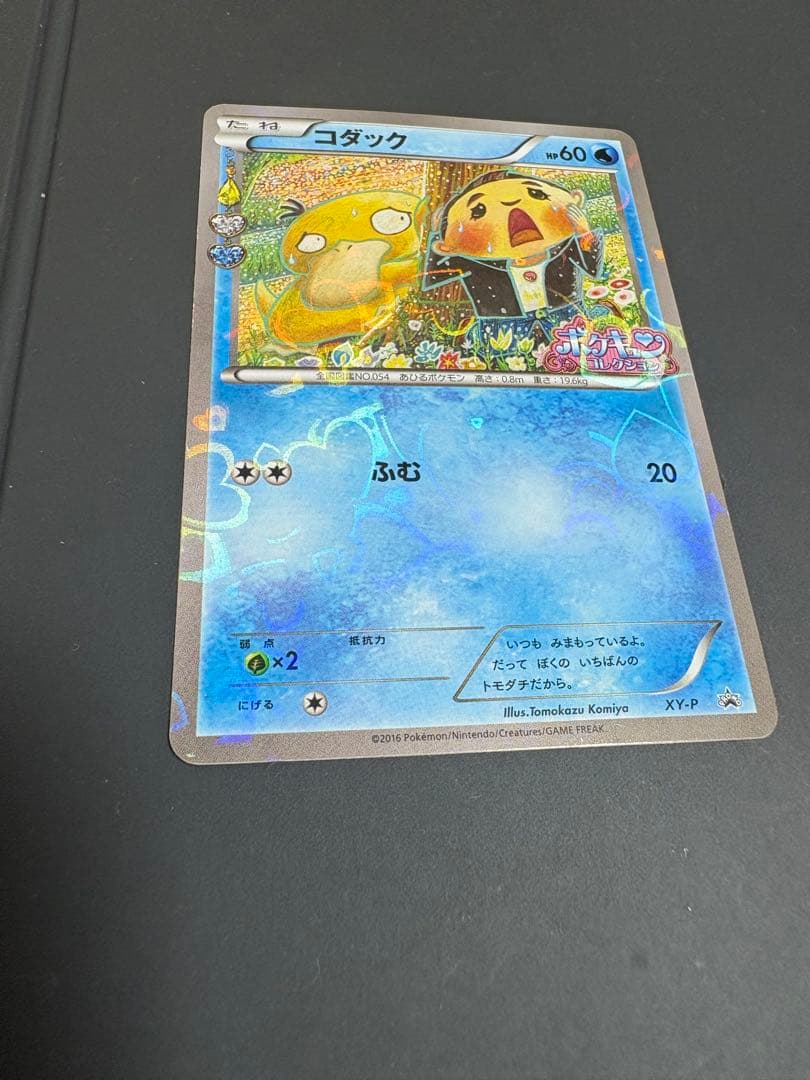 XY-P コダック_ポケキュンコレクション キャンペーン　増田順一 XY-P コダック： ポケキュンコレクション キャンペーン 増田順一