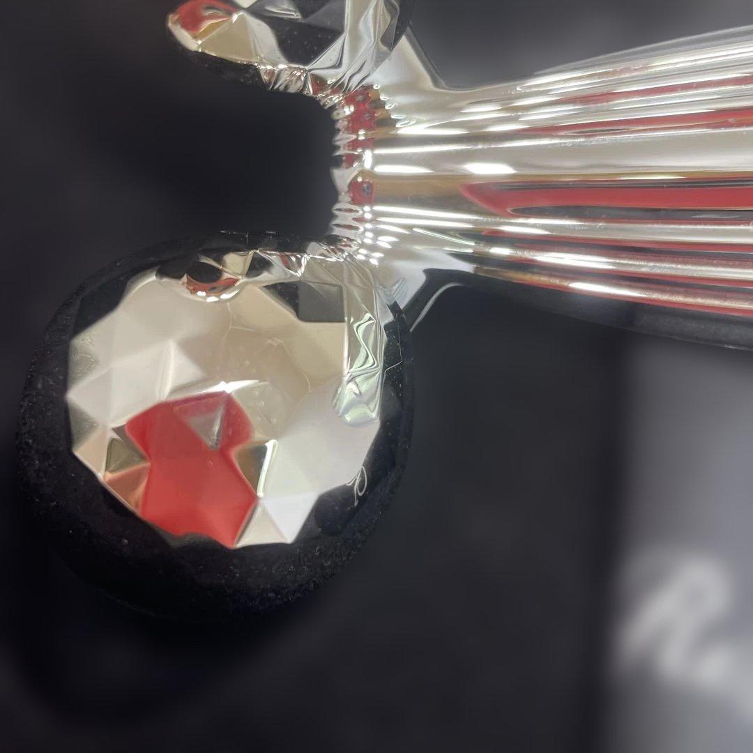 MTG ReFa CARAT RAY リファ カラット レイ