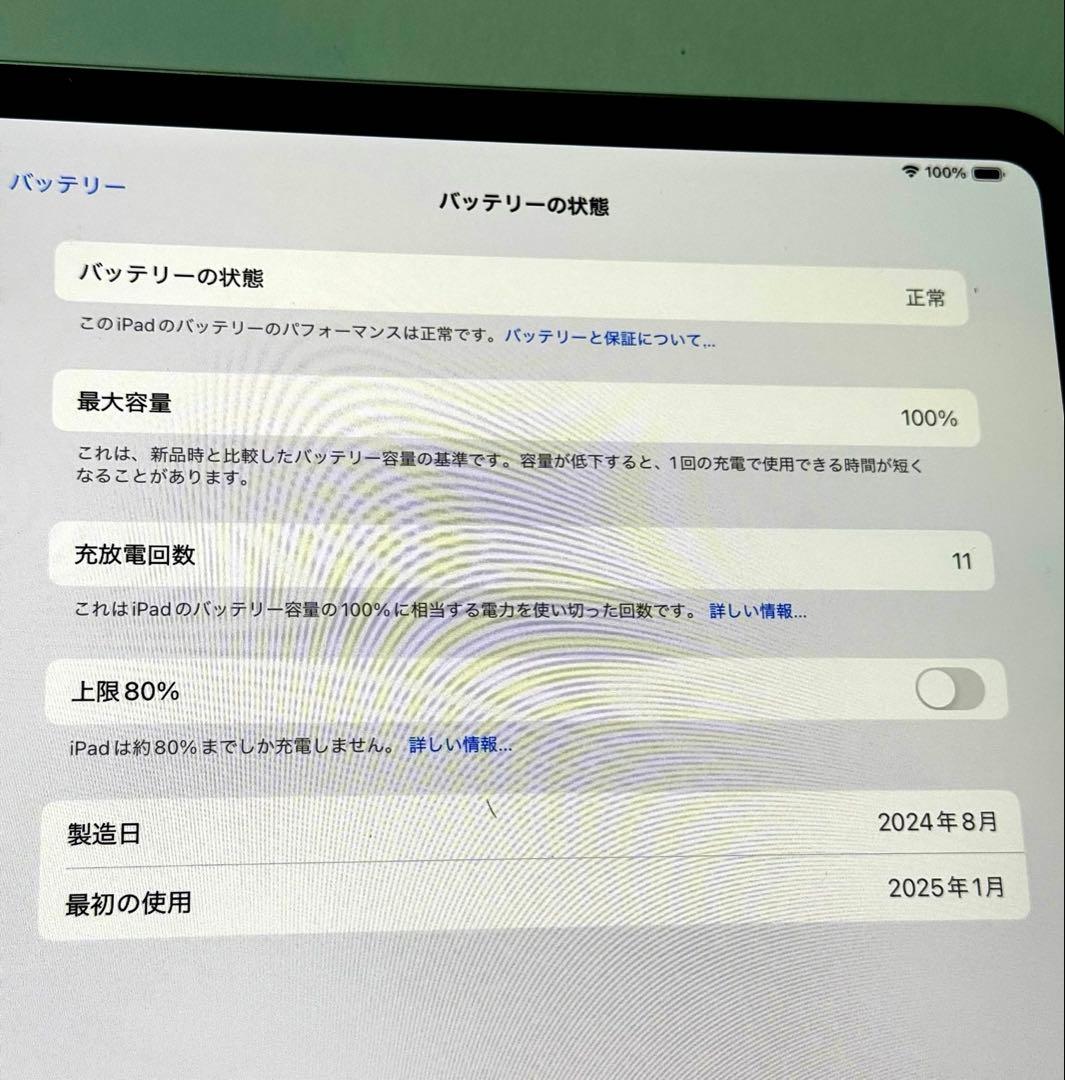 Apple iPad Pro 11インチ M4 256GB シルバー