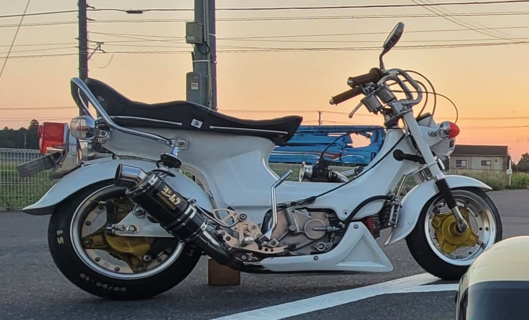 シャリー カスタムシート チョビ三 シャリー カスタムシート チョビ三