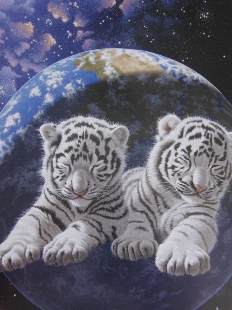 シム・シメール、【SOURCE OF ALL】、希少な額装用画集より、状態良好