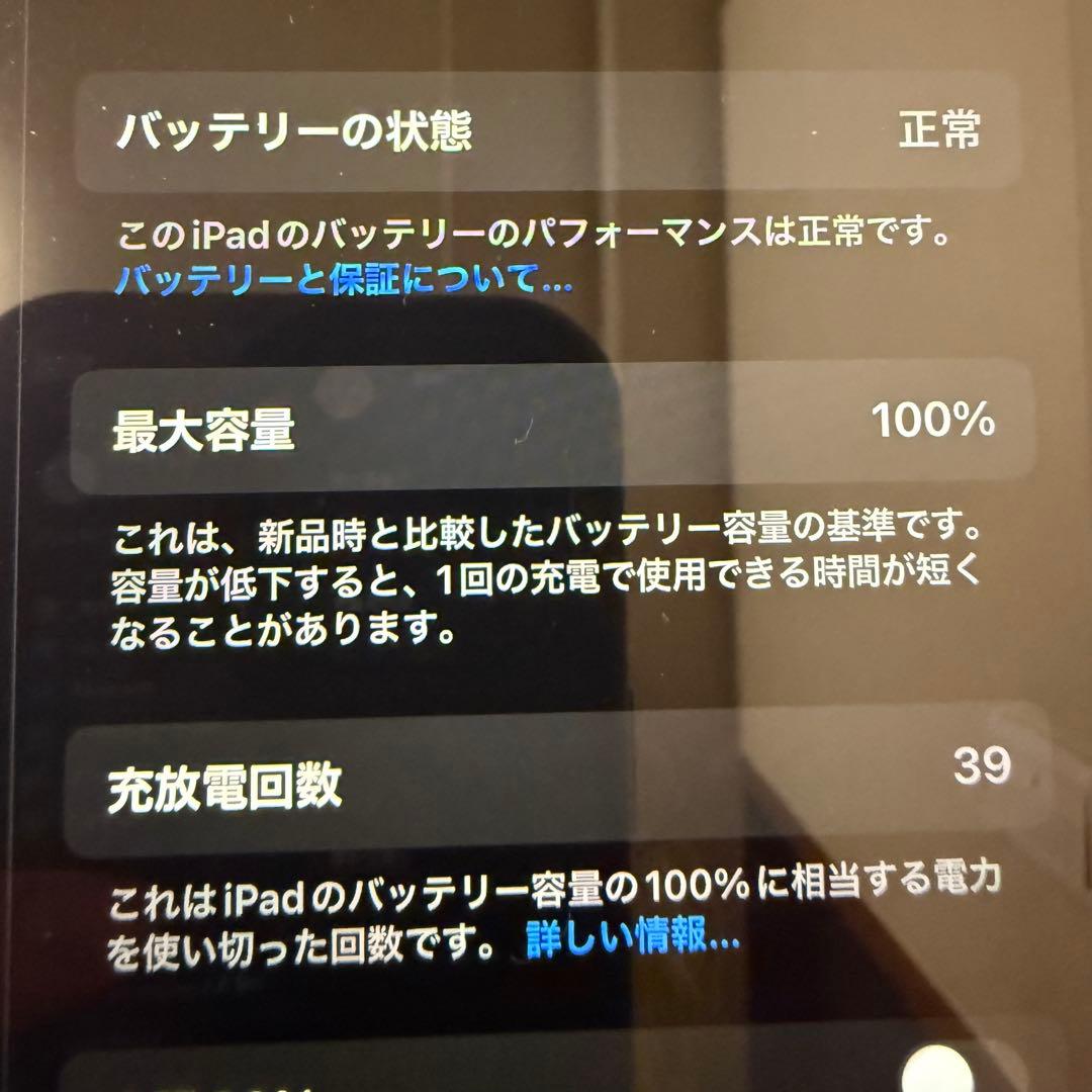 iPad mini 第7世代 セルラー 256GB バッテリ100% ケース付