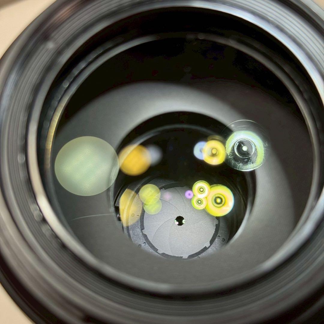 TAMRON SP 70-300mm F/4-5.6 (A005) [ソニー用]