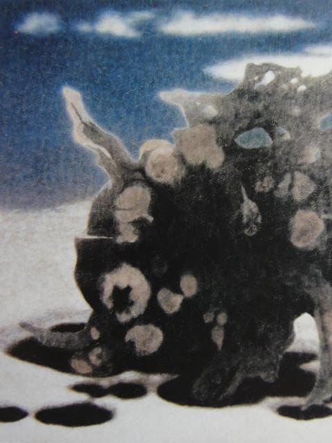 岩橋英遠、「根と雲たち」、希少な画集より、 新品高級額装付、日本人