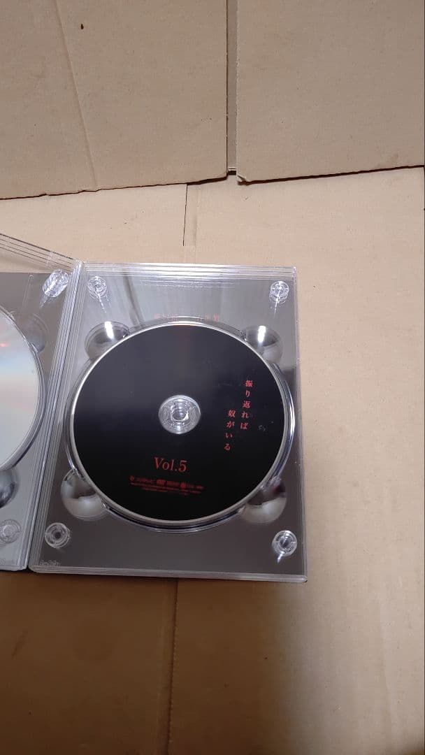 振り返れば奴がいる DVD-BOX 帯あり akihiro