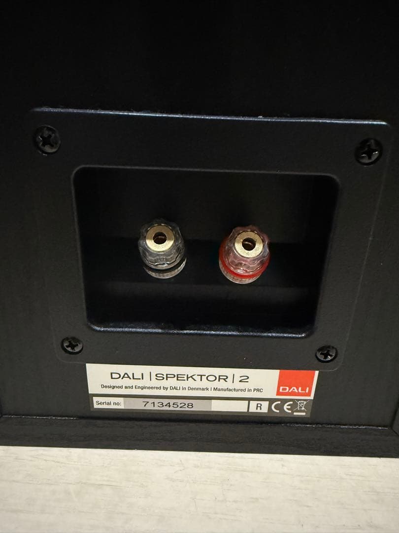 【美品】DALI SPEKTOR2 ペア