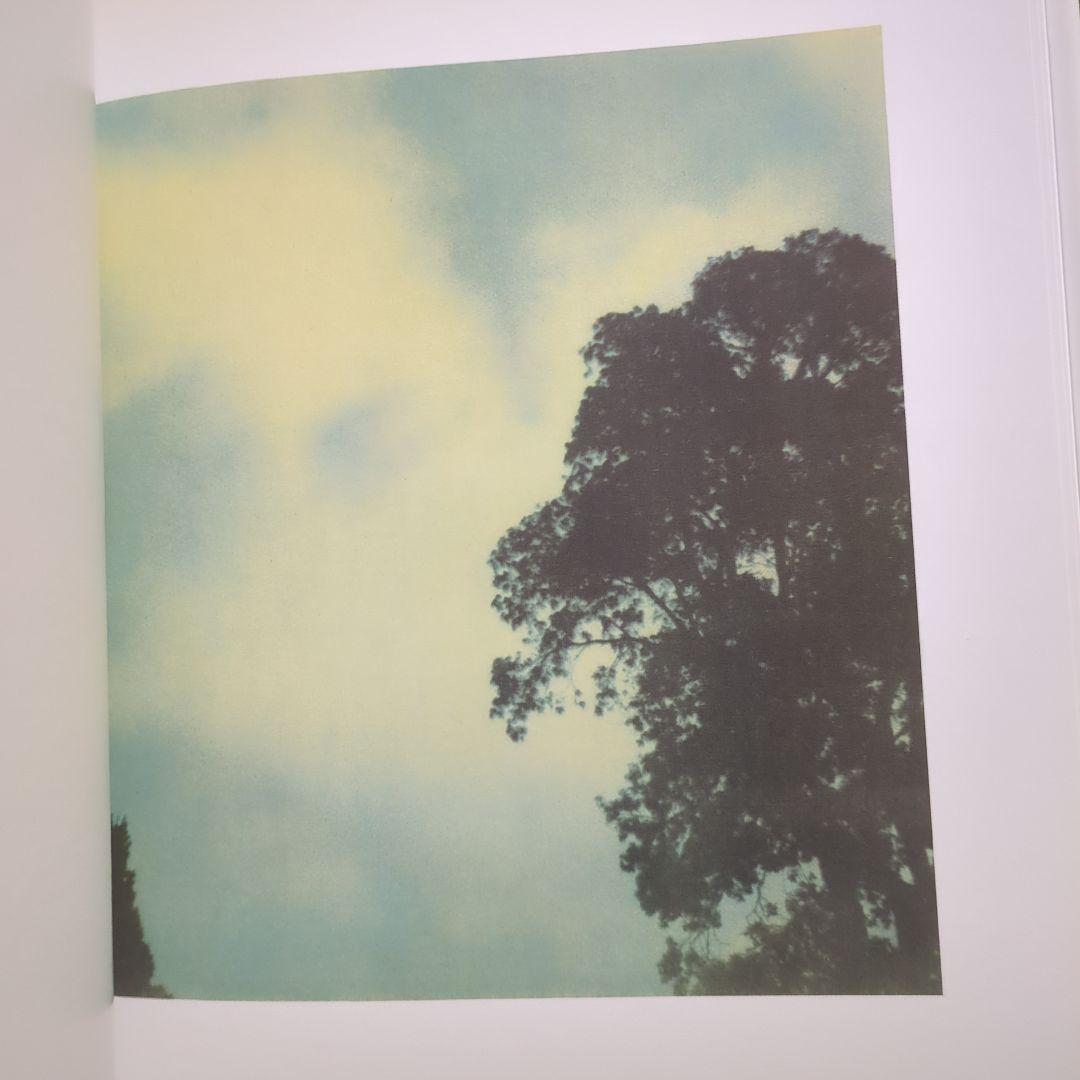 Cy Twombly サイ・トゥオンブリー Photographs 洋書 写真集 - メルカリ