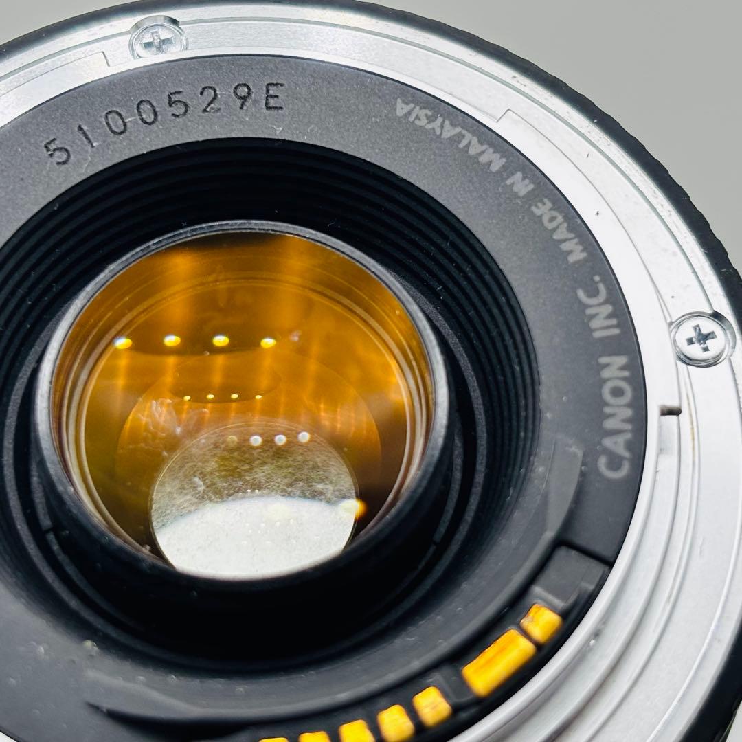 Canon EFマウント75-300mm F4-5.6 III