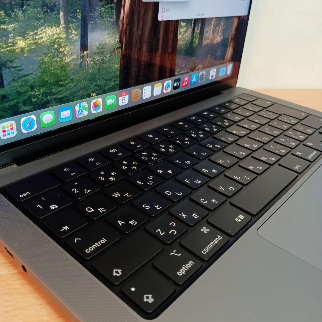 902激安早いもの勝ち✨️Apple ProM116GB　512GB