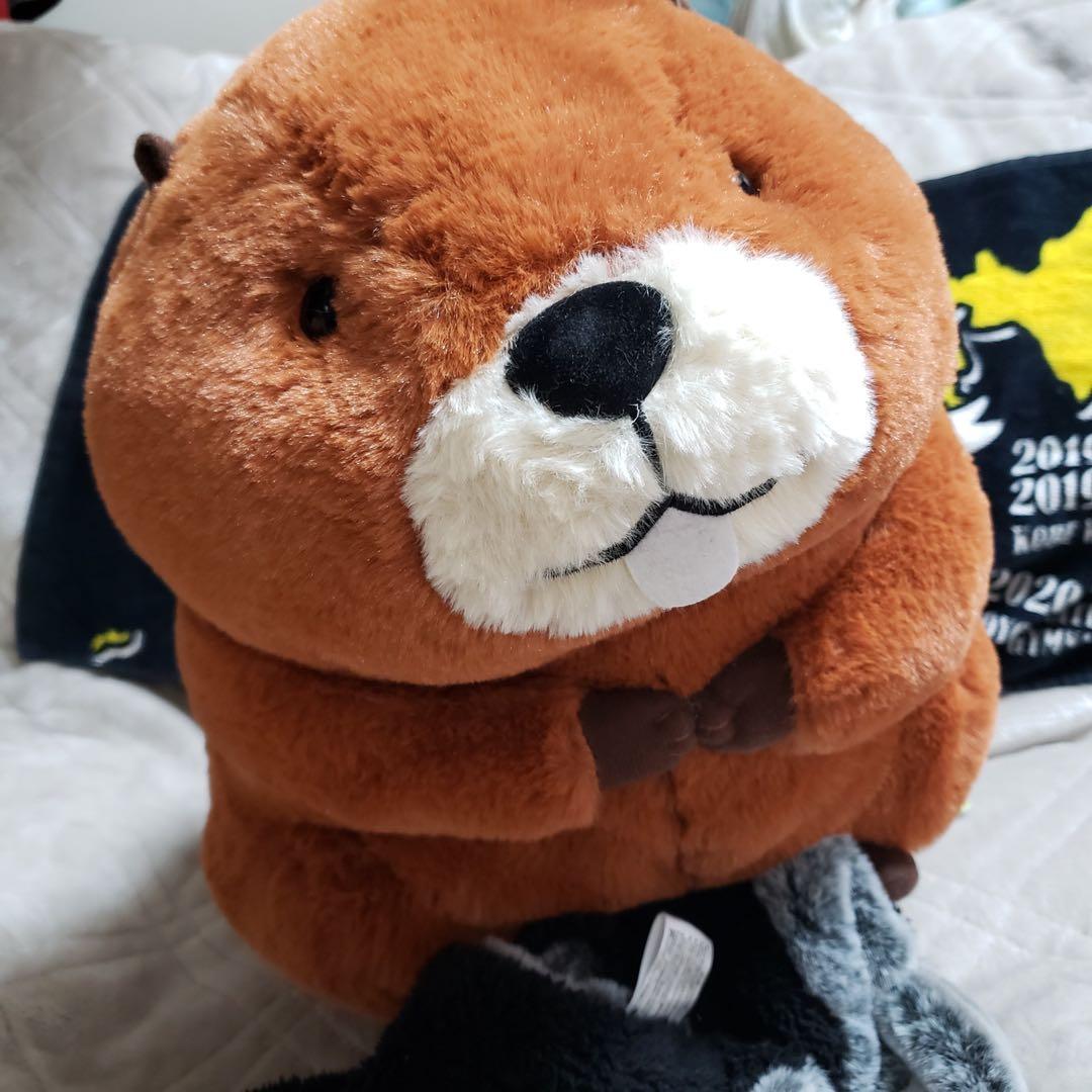 むっちりビーバーたっち ぬいぐるみ スーパー BIG 3個セット　バラ売り可 ≪1月の新商品≫むっちりビーバーたっち -NEW ITEM！｜アミューズ最新情報