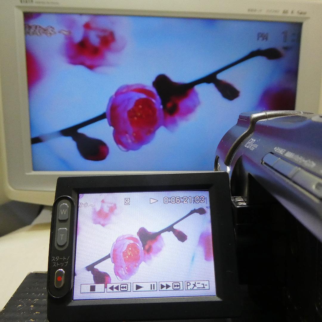 動作品 ソニーDCR-HC88 MiniDV ビデオカメラDVDダビングに最適 - メルカリ