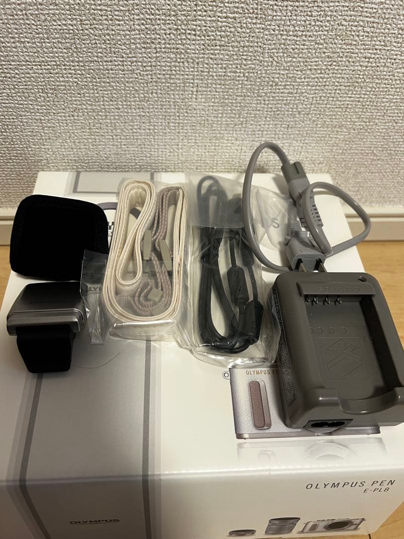 OLYMPUS PEN E-PL8 シルバー 本体と付属品