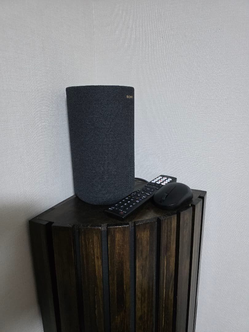 める　ソニーSA-RS5