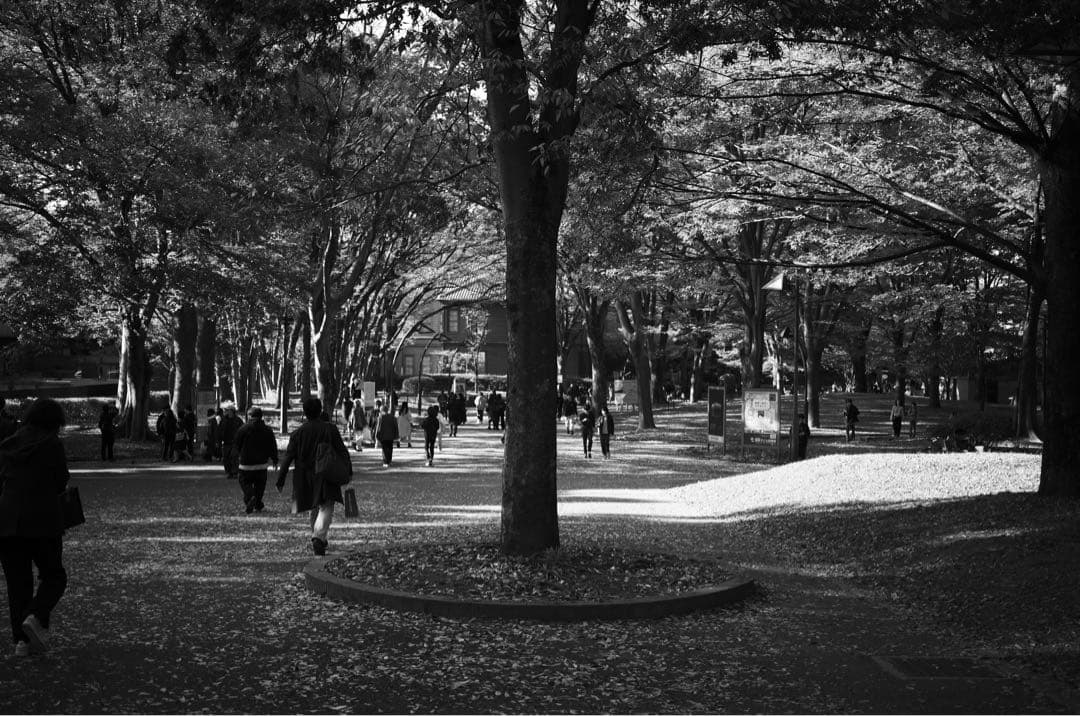 【美品】APO-Componon 45mm F4