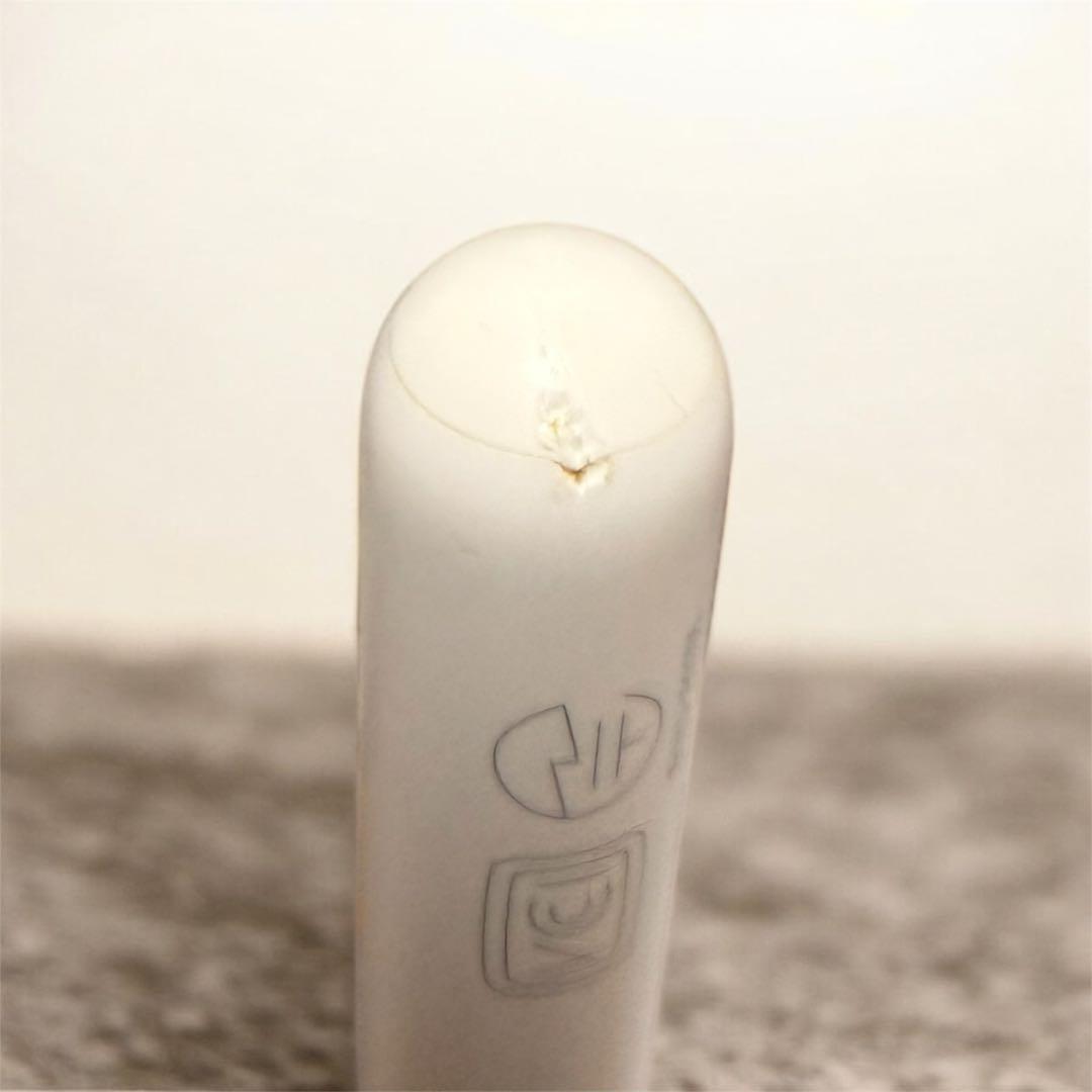 Apple PencilとApple Pencil Tips