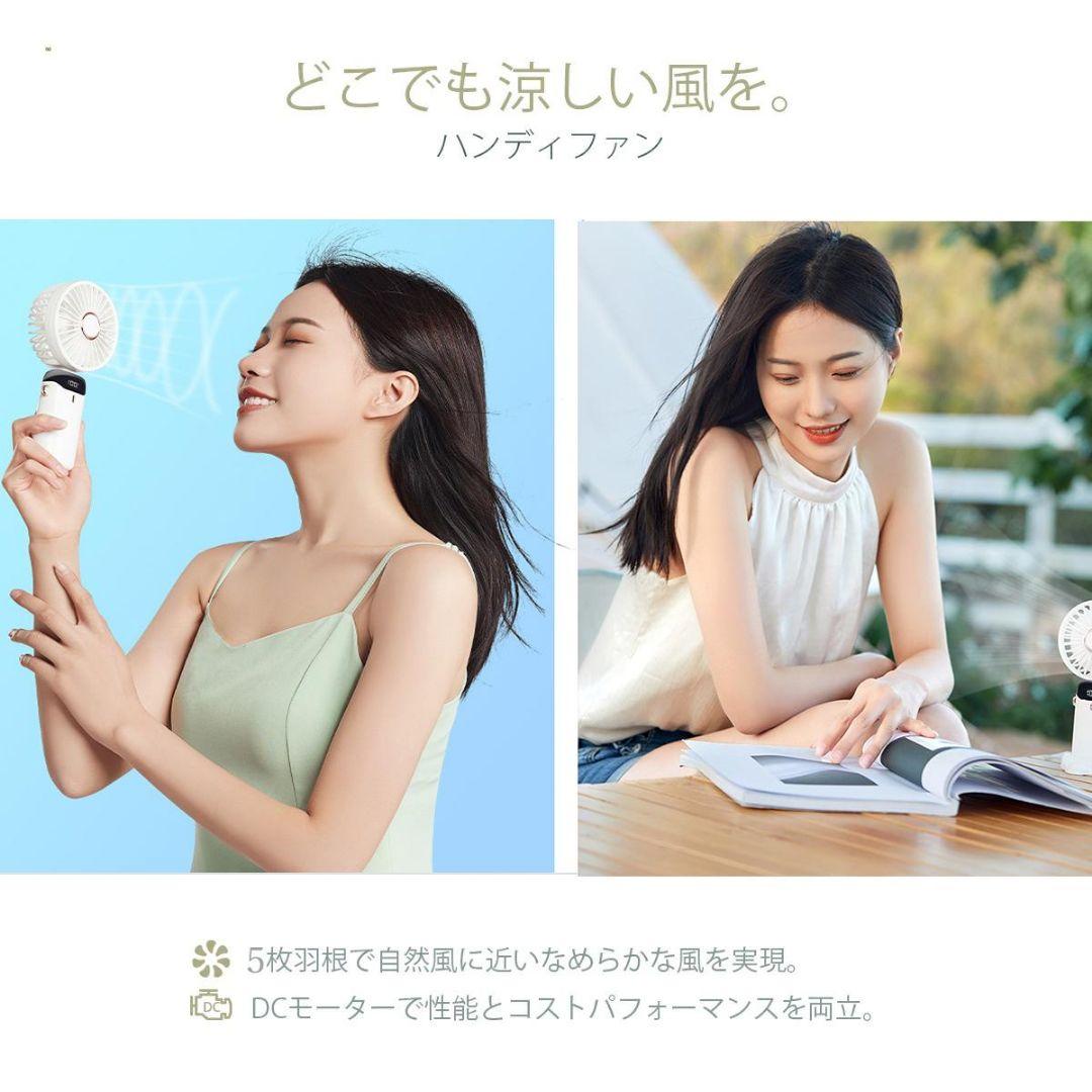 大木さん専用12個