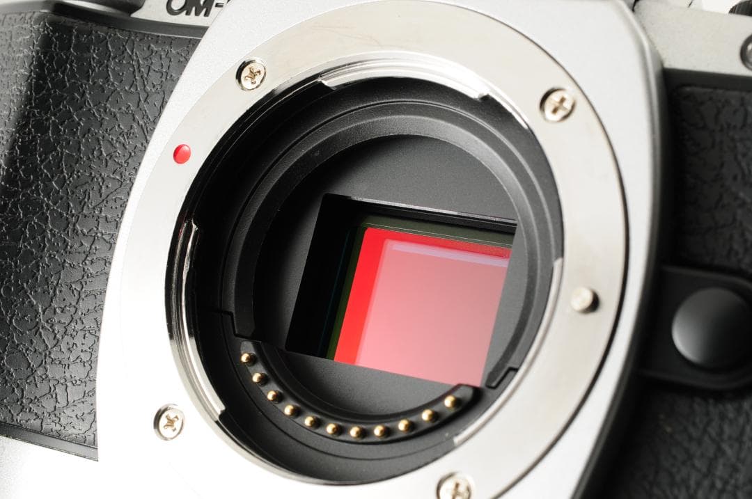 【美品】オリンパス Olympus OM-D E-M10 シルバー ボディ