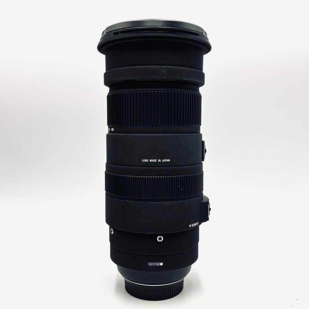 ❁大迫力！超望遠❁SIGMA 50-500mm DG OS HSM ニコン用