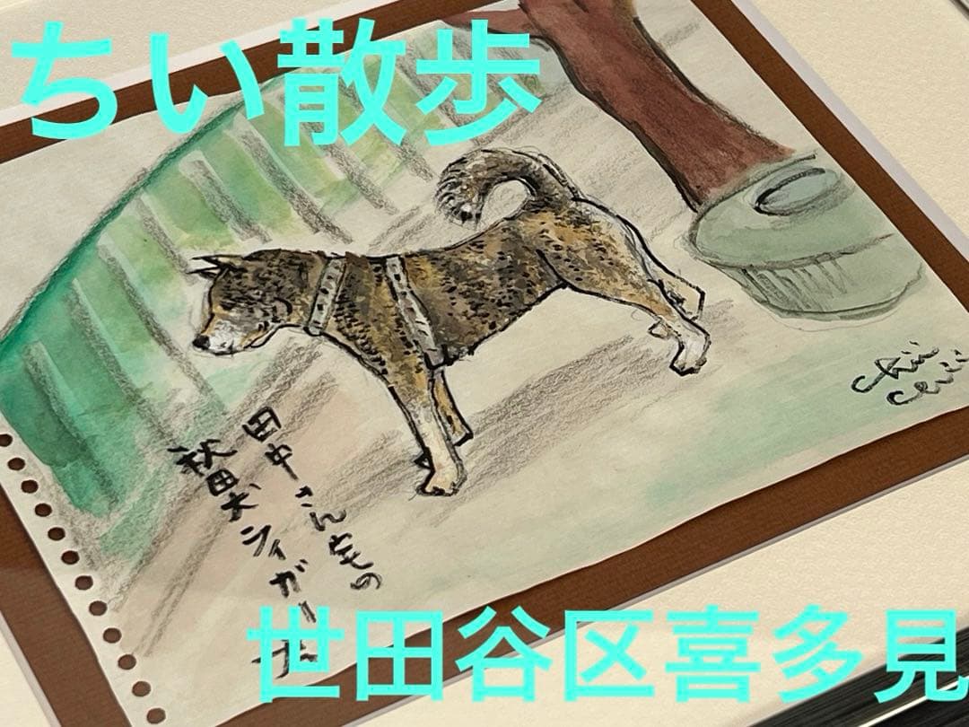 水彩画 地井武雄さん テレ朝ちい散歩 犬 原画絵手紙 世田谷区喜多見