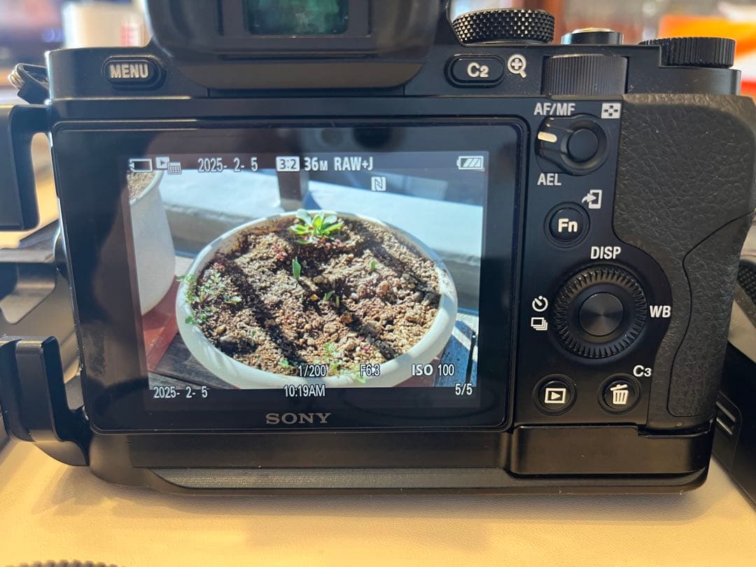 SONY α7R + 24-70 ZEISSレンズ